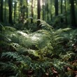 © Mian - fern in the woodsfern in the forest