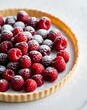 © LoFi J. - Delicious raspberry tart with fresh raspberries and powdered sugar.