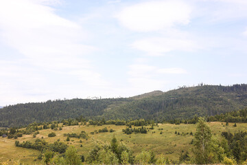 Beautiful view of forest in mountains under blue sky