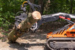 © Valmedia - Mini skid steer loader is moving a large tree trunk in a forest, showing its power and versatility for forestry work. Selective focus