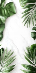 Wall Mural - Tropical Leaves on Marble Background