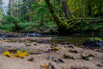 Ein kleiner Wasserfall im Wald