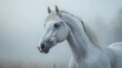 © sebelum - White Horse Portrait in Foggy Landscape - Realistic Photo