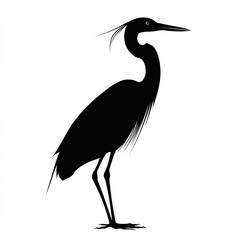 Wall Mural - Heron Silhouette, Illustration Isolated On White Background