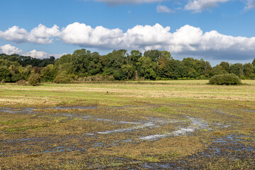 Rainwater on a field in the Sussex countryside near Lewes, with a blue sky overhead