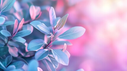 Canvas Print - An image with soft blue and purple hues and a blurred gradient