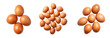 © Ihor - Set of brown eggs in a carton box, shot with low depth of field, isolated on transparent background. PNG element.