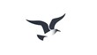 © Momina - Create a sleek minimalistic seagull logo icon isolated on a white background