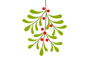 Wall Mural - mistletoe plant hanging decoration. christmas png illustration.