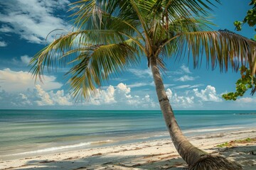 Single palm tree is casting a shadow on the white sand of a tropical beach, with turquoise water and blue sky in the background