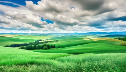 Natural scenery with lush green grass and floating clouds.