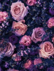 Canvas Print - Delicate roses and lavender intertwine beautifully, showcasing a harmonious blend of colors and textures in a serene garden display. Generative AI