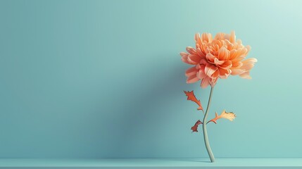 A bright orange chrysanthemum flower isolated on a light blue background.