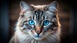 © Pluto - Intriguing Gaze of a Feline with Bright Blue Eyes, A Portrait of Curiosity and Grace