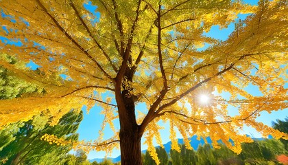 Autumn Ginkgo Beauty, Golden World Under the Sun.