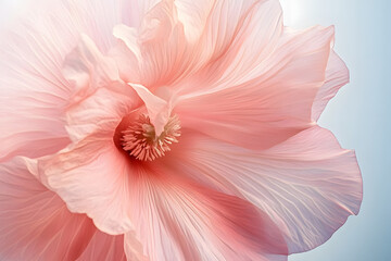 Sticker - a close up of a large pink flower on a white and blue background with a blurry image of a large flower in the center of the center of the flower.