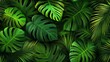 © admin_design - Vibrant green tropical leaves, a lush natural background image lush