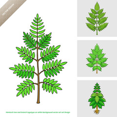 Hemlock tree and branch logotype on white background vector art set Design 