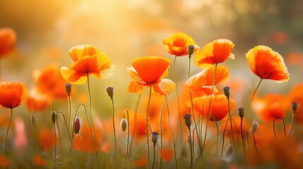 Wall Mural - orange spring flowers