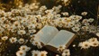 © Vergiliy - Open book surrounded by daisies in sunlight, nature's beauty, tranquility
