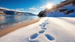 © Maria Starus - Footprints in snow lead to a serene winter beach under a bright sun, AI