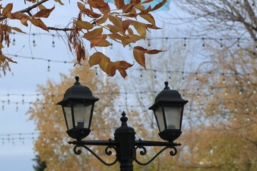 street lamp in the park