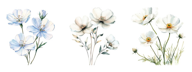 Fototapete - Watercolor painting of minimalistic white flowers on a transparent background. Watercolor white romantic flowers. Botanical watercolor elements for wedding invitations and designs.