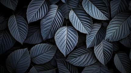 Wall Mural - A clear photo of a close-up of black leaves with a centered white spot on a dark backdrop