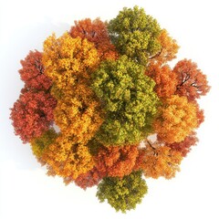 Wall Mural - colorful autumn trees aerial view