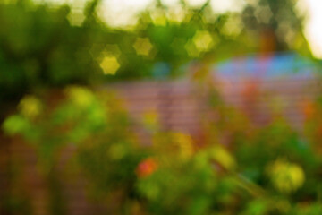 Wall Mural - abstract background with blurred image of flower garden with tin wall, green foliage of large trees,