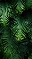 Sticker - Palm leaves backgrounds vegetation outdoors.