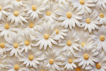 Daisy pattern backgrounds flower.