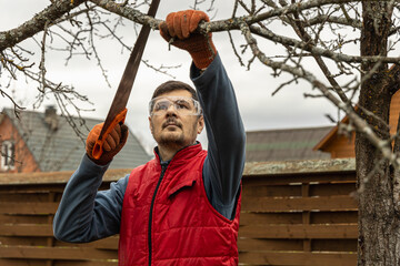 Wall Mural - Pruning trees in an autumn garden. Close-up of hands with a saw cutting old branches.