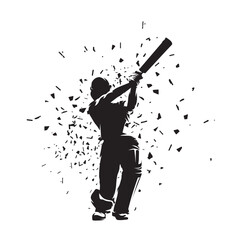 Sticker - Cricket player, isolated vector silhouette, cricketer, striking batter