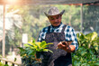 © Have a nice day  - Asian male smart farmer using tablet technology analyzing air purifier plant for water and growth content, gardener plant biologist taking care for outdoor nature plants and trees using modern tech