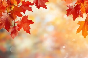 Wall Mural - autumn leaves vibrant blurred background