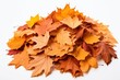 © Rawpixel.com - Pile of autumn leaves bonfire plant maple.