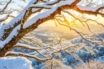 Canvas Print - Winter landscape vegetation outdoors.