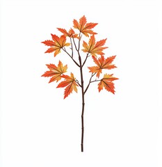 Wall Mural - Maple leaves falling on a white background in autumn