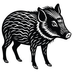 Wall Mural - Peccary Wild Animal Vector Art.