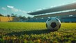 © ifoto - A soccer ball rests on the grass in front of an empty stadium