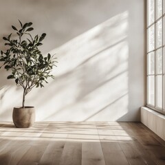 Canvas Print - Stunning modern interior with plant in minimalist space