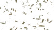 © gormakuma - Many USA 100 dollars bill falling from the sky