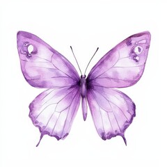 Aufkleber - Watercolor illustration of a violet butterfly on an isolated white background