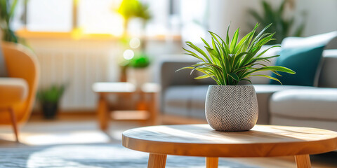 Aufkleber - Green plant standing on wooden coffee table in living room