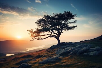 Canvas Print - Landscape tree mountain outdoors.