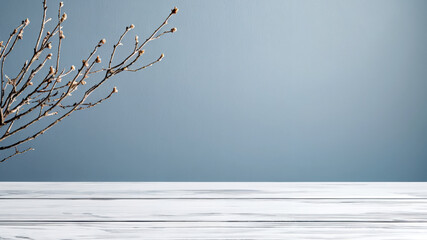Poster - Empty white table with bare branches on blue background