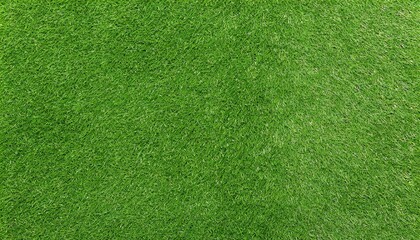 Wall Mural - Green grass texture background, Top view of grass garden ideal concept used for making green flooring, lawn for training football pitch, Grass Golf Courses green lawn pattern textured background.	
