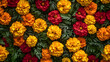 © LovelyArt - A floral background with a mix of marigolds and chrysanthemums creating a vibrant display.