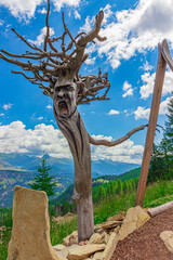 Carved face in a tree trunk